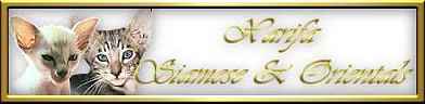 Xarifa's Siamese & Orientals' Website