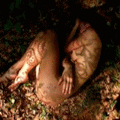 s23