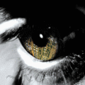 s59