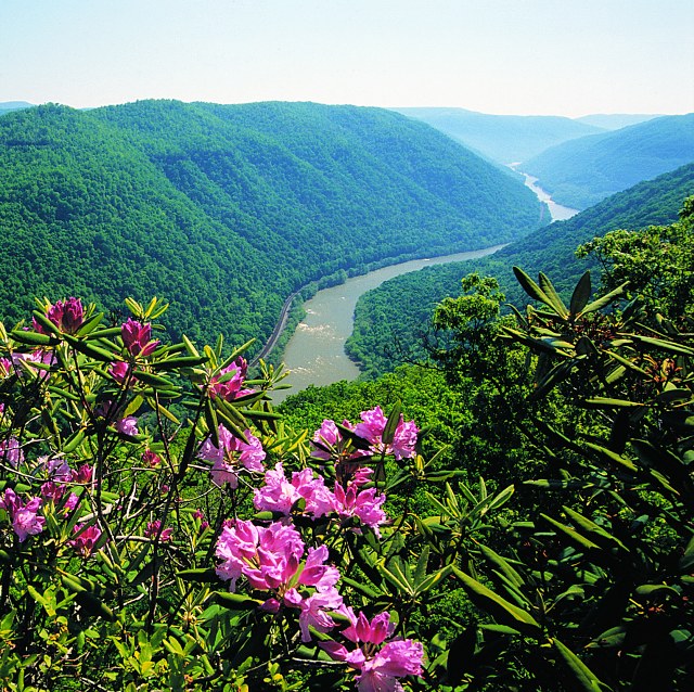 [New River Gorge Overlook]