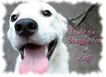 Copyright 2006 Rosemary G. Chatham All Rights Reserved - "Zakk - Trade ya Shuggie for a Hug"