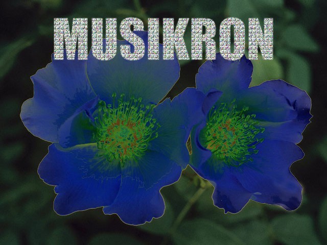 The current album cover