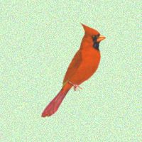 Cardinal
