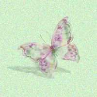 purple decorative butterfly wings open
