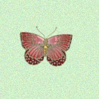 Red decorative butterfly