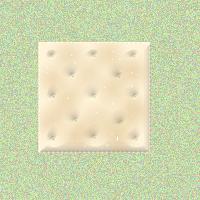 soda cracker