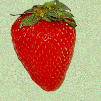 strawberries