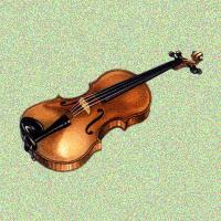 violin