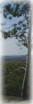 A view from Algonquin Park