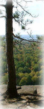 Algonquin Park View