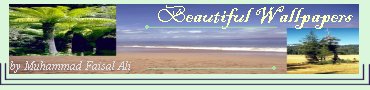 Beautiful Wallpapers