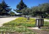 Fourth Image of Garden