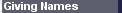 Giving&nbsp;Names