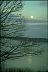 img0013.gif