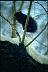 img0052.gif