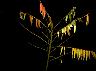 img0069.gif