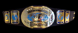 WWE Intercontinental Champion - Edge
