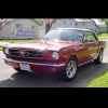 1964 1/2 Coupe Red