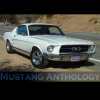 1967 Fastback White