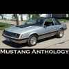 1981 Coupe Gray