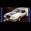 1983 GT Convertible White