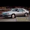 1984 SVO Gray