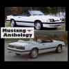 1985 Convertible White