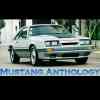 1986 GT Gray