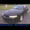 2002 Cobra Black