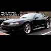 1999 Cobra Black