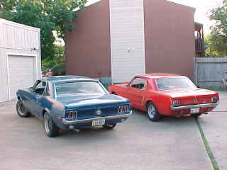 rear view of both mustangs
