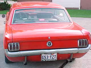 rear view of 65