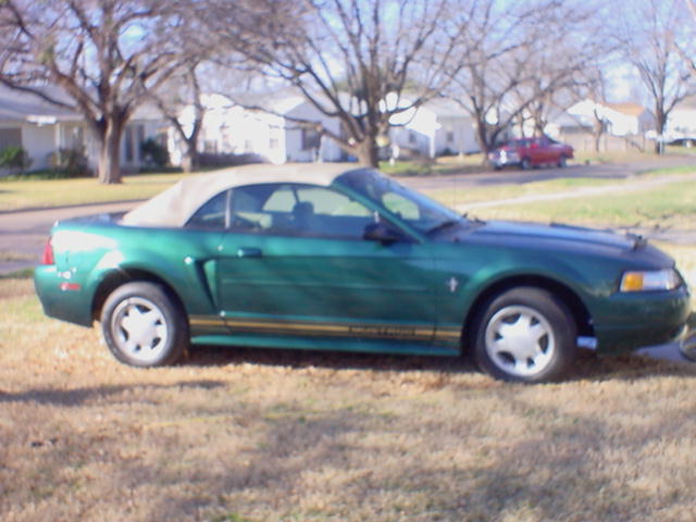 mustang