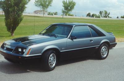 2001_Z281.JPG - 49262 Bytes