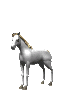 Horse rearing