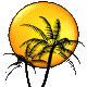 Palm trees