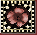 Bold Frame