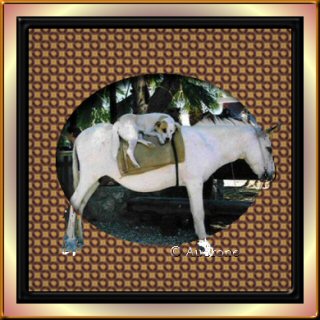Enamel Frame 2