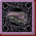amuste_wk4_twirl.gif