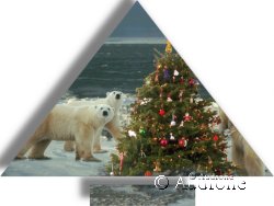 Christmas tree 1