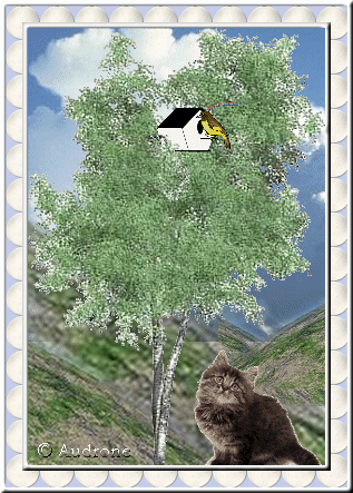 birdhouse