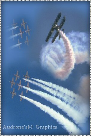 fly  from airbrush painting