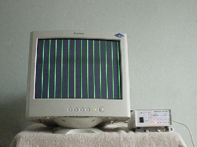verliineG.gif (85200 bytes)