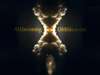 ALL Becoming = OmniEscent.....OM....