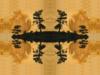 A Zenoid Woodscape