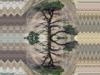 Asymmetrical Tapestry of Life