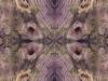 Black Holes