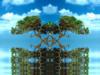 Crested Canopy
