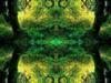 Emerald & Topaz Forest