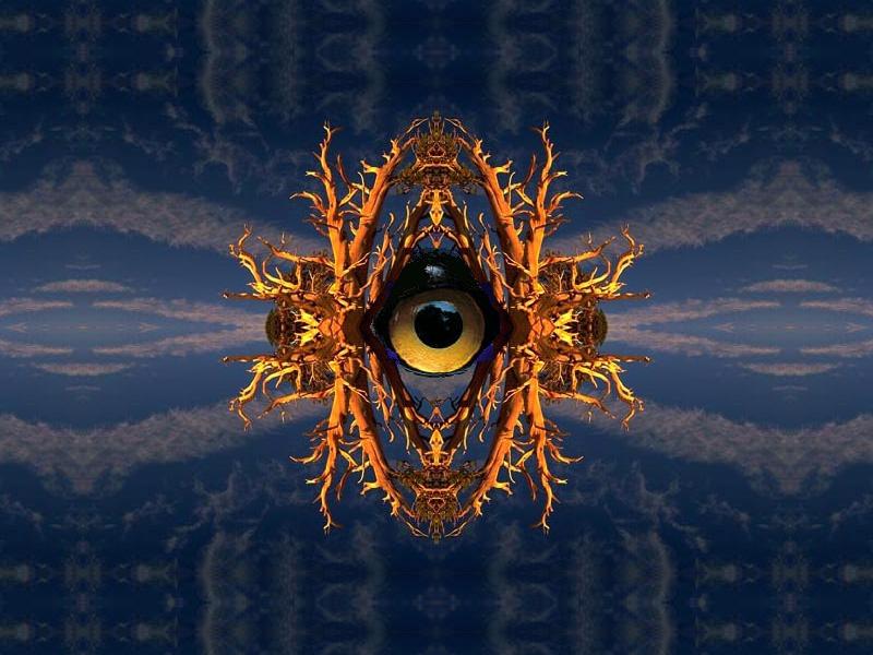 The Eye-Will Seed
